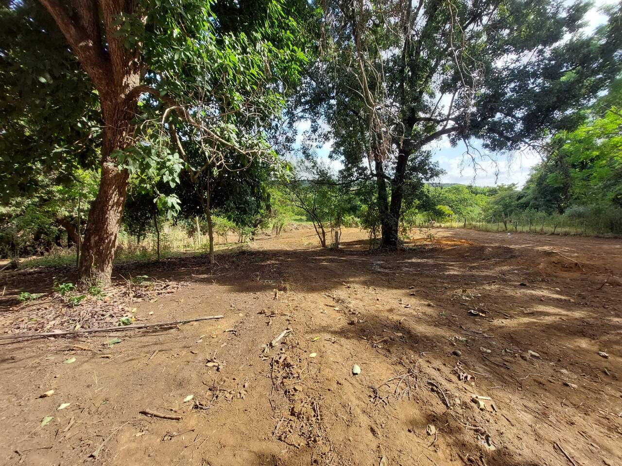 Lote à venda no Progresso: 