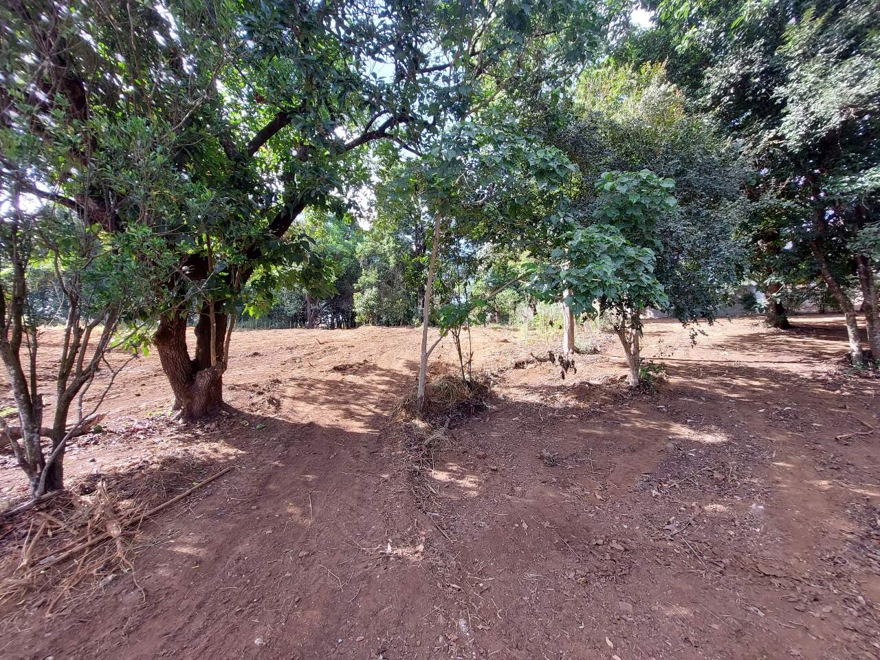 Lote à venda no Progresso: 