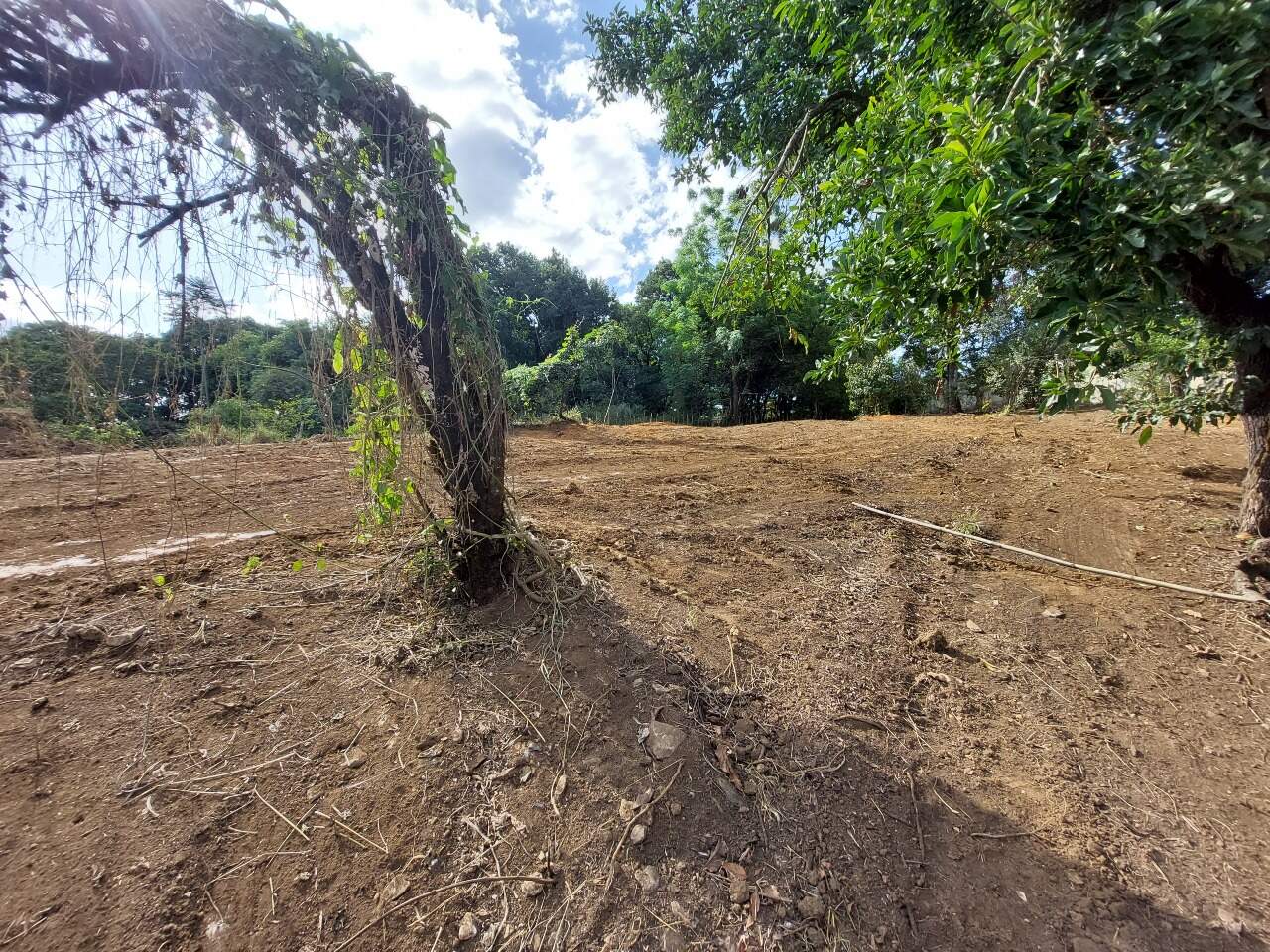 Lote à venda no Progresso: 