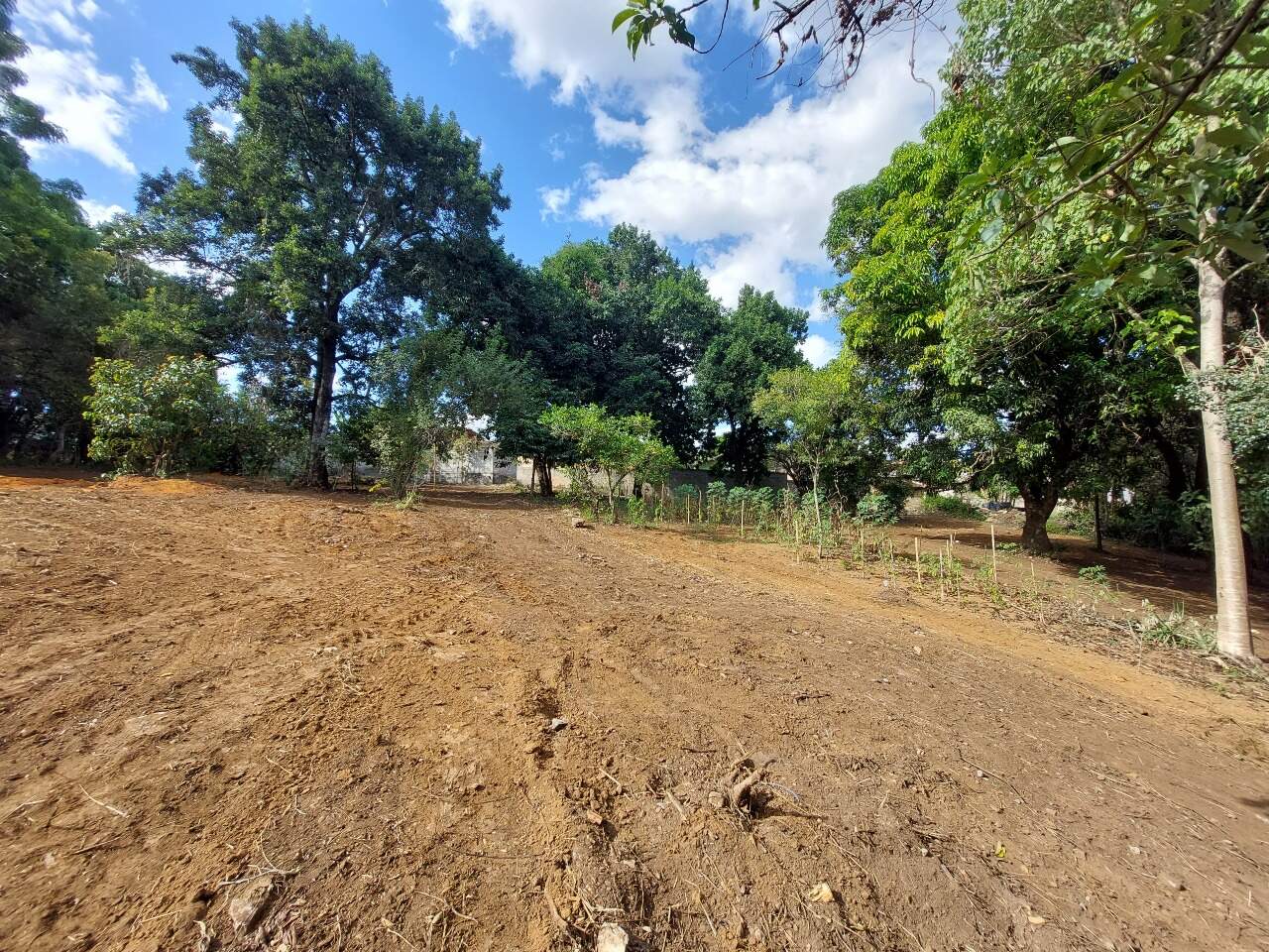 Lote à venda no Progresso: 