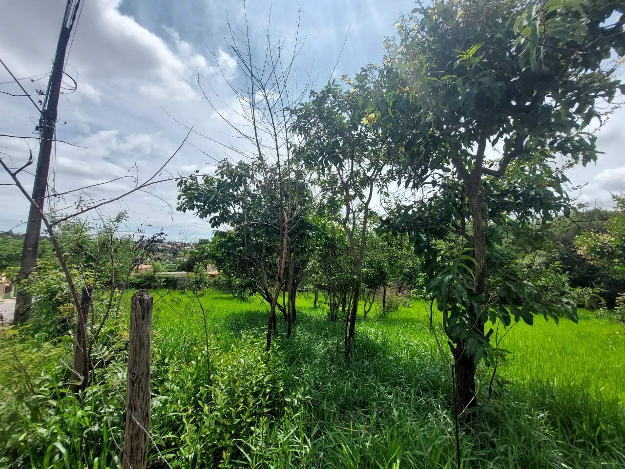 Lote à venda no PLANALTO : 