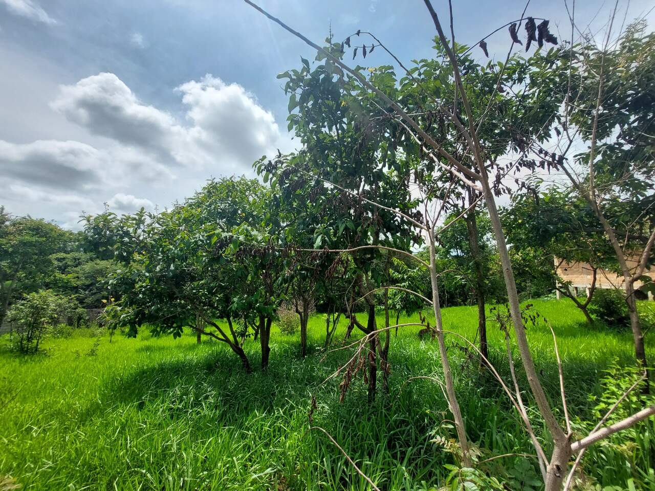 Lote à venda no PLANALTO : 
