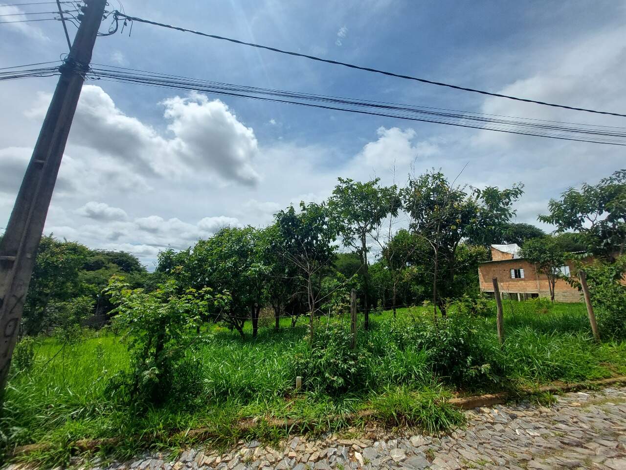 Lote à venda no PLANALTO : 