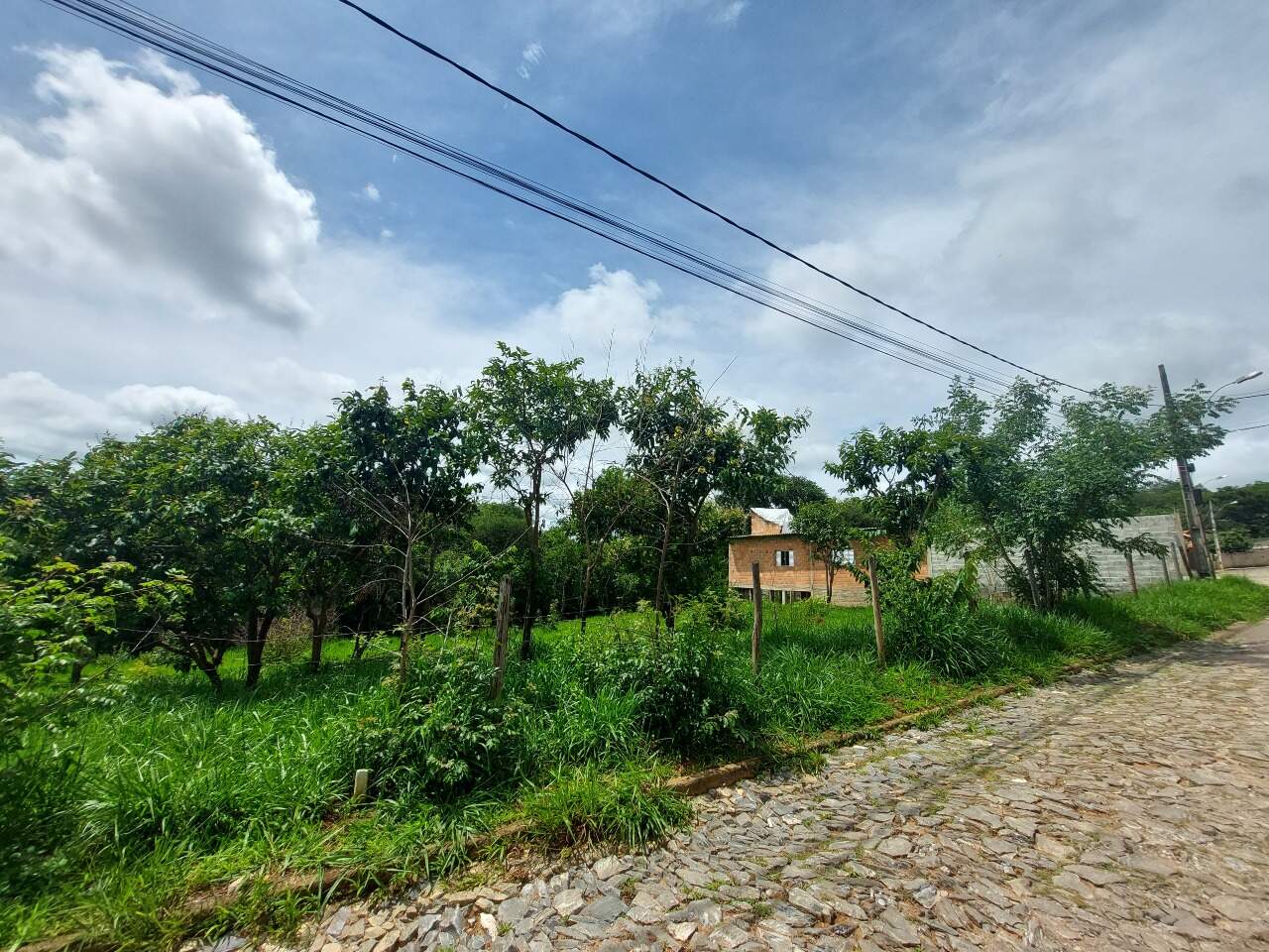 Lote à venda no PLANALTO : 