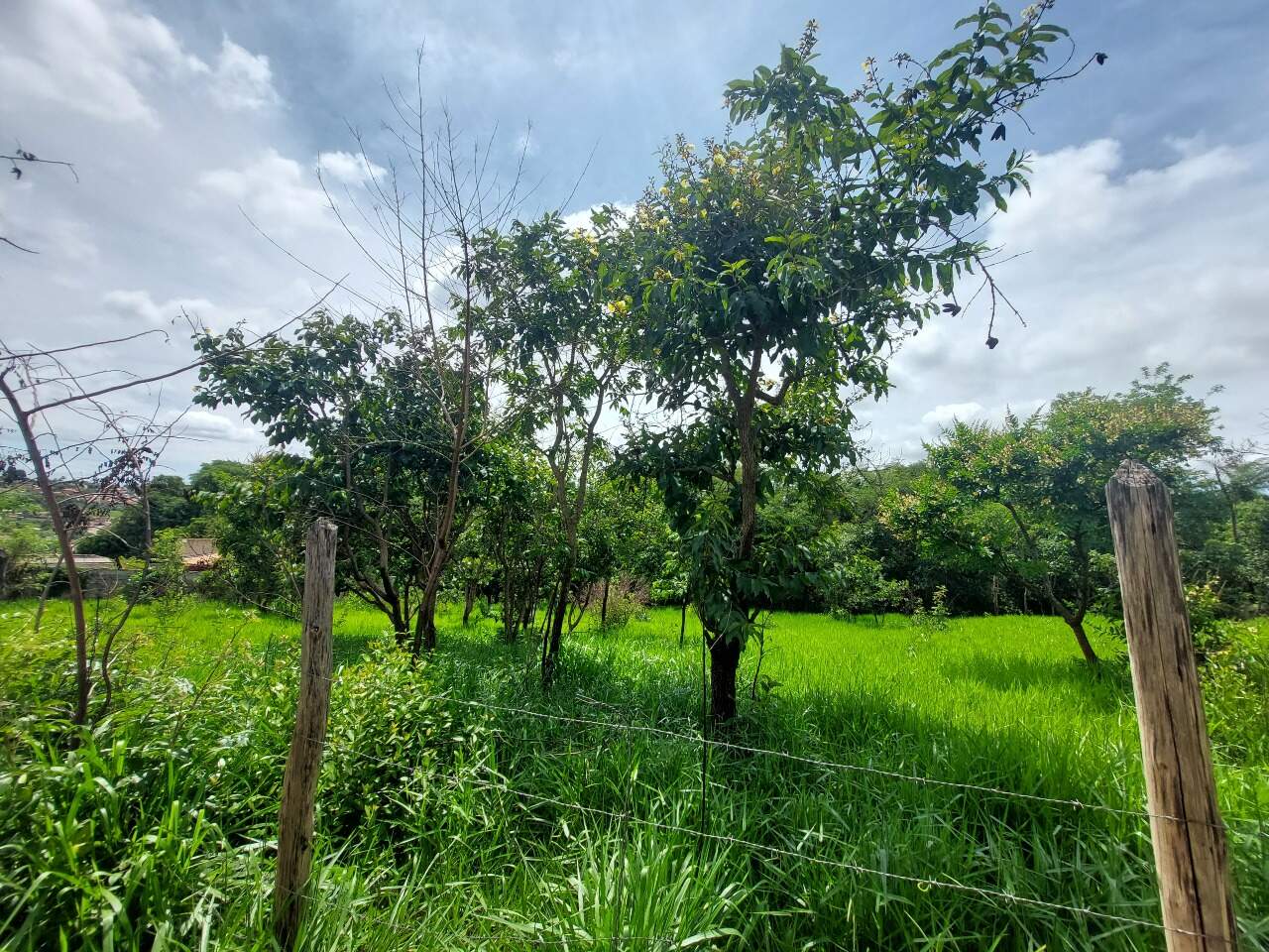 Lote à venda no PLANALTO : 