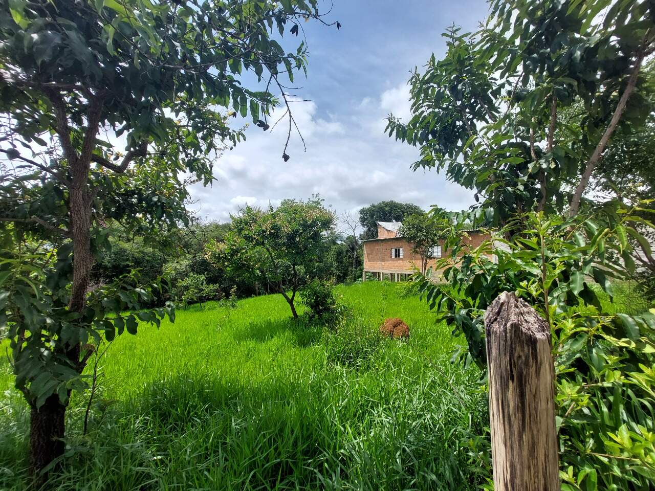 Lote à venda no PLANALTO : 