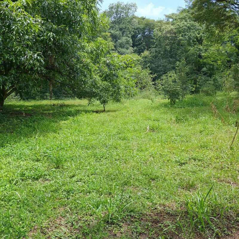 Terreno à venda no Quintas das Fazendinhas: 