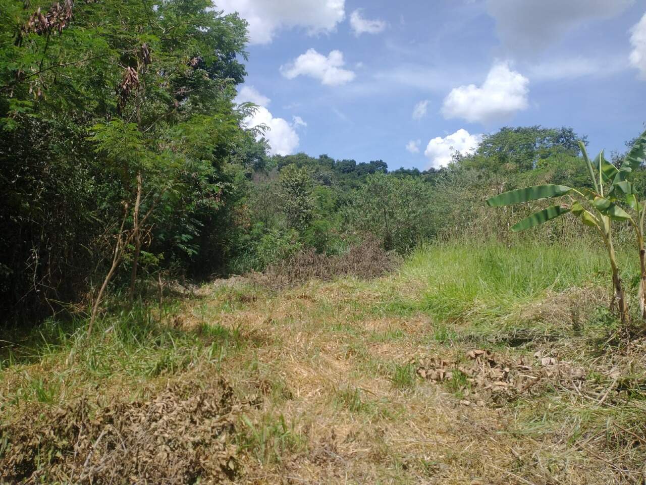 Terreno à venda no Quintas das Fazendinhas: 