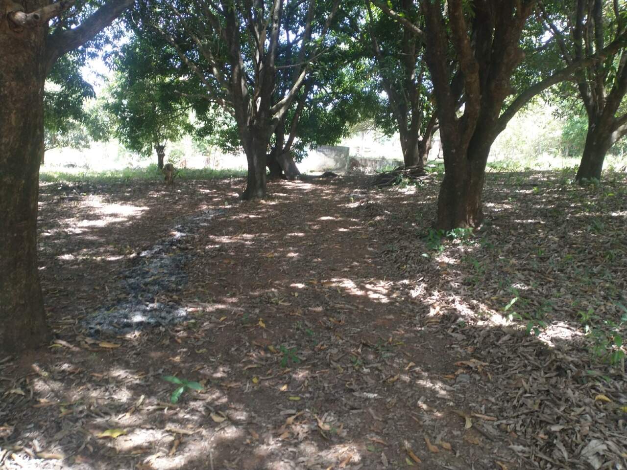 Terreno à venda no Quintas das Fazendinhas: 