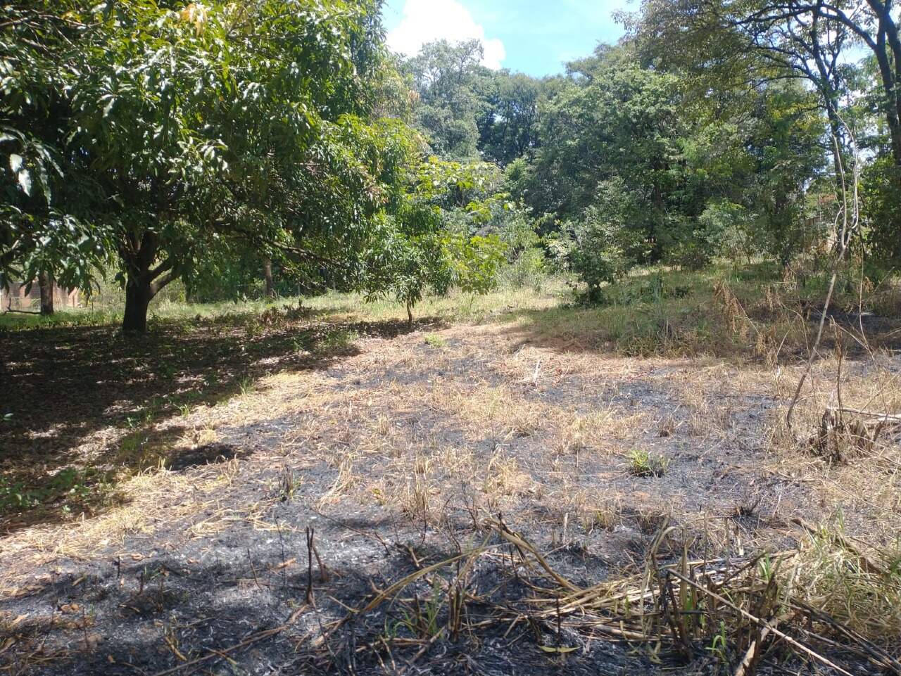 Terreno à venda no Quintas das Fazendinhas: 