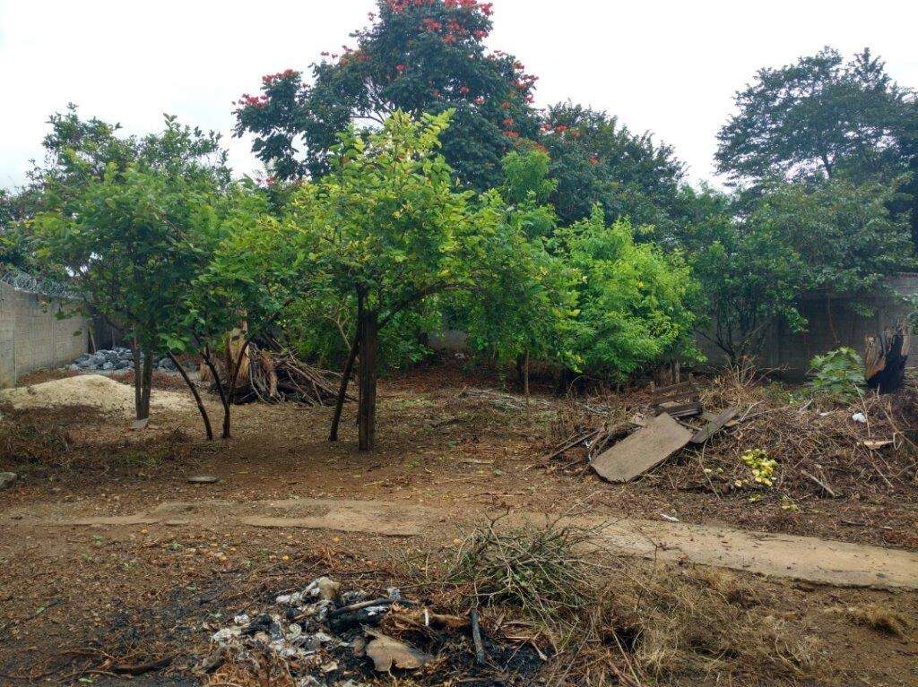 Lote à venda no Estação: 