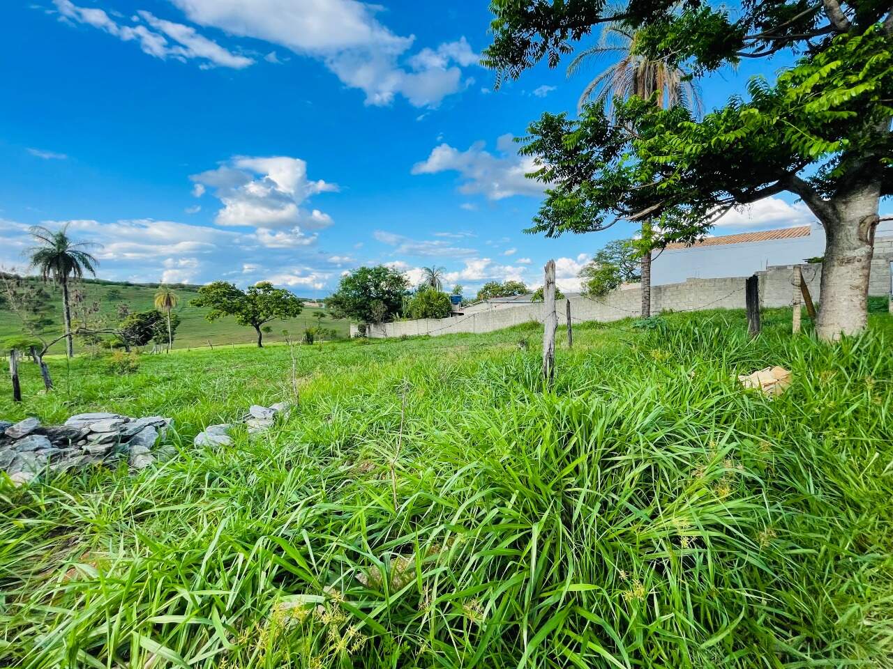 Lote à venda no Novo Cruzeiro: 