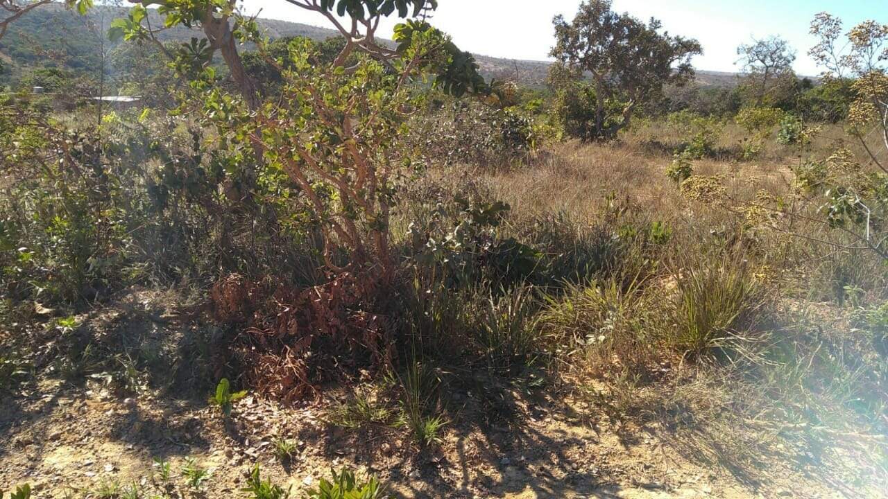 Lote à venda no Centro: 
