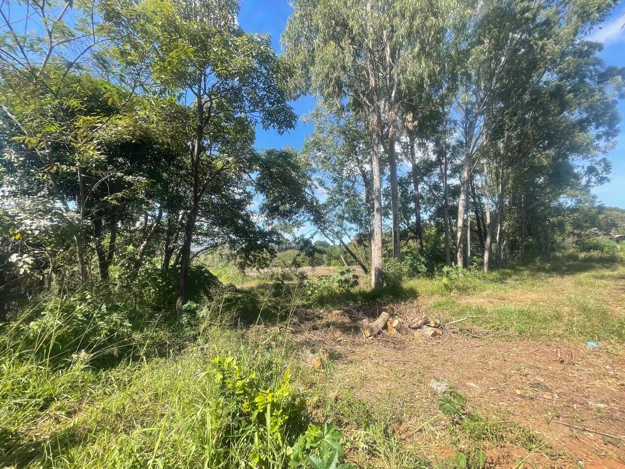 Terreno à venda no Distrito Industrial: 