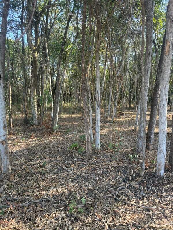 Lote à venda no Estancia da Mata: 