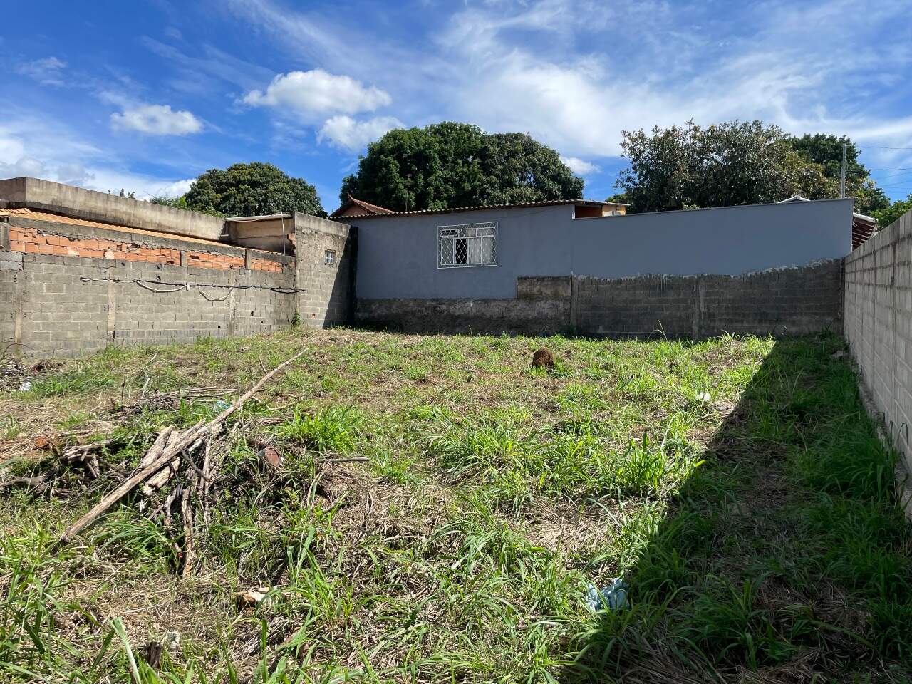 Lote à venda no Bom Jesus: 