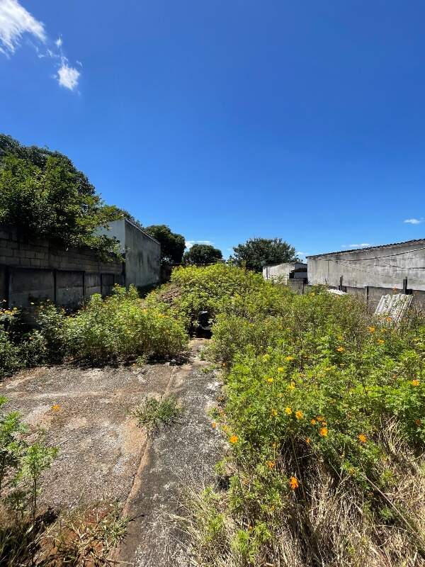 Lote à venda no Floresta: 