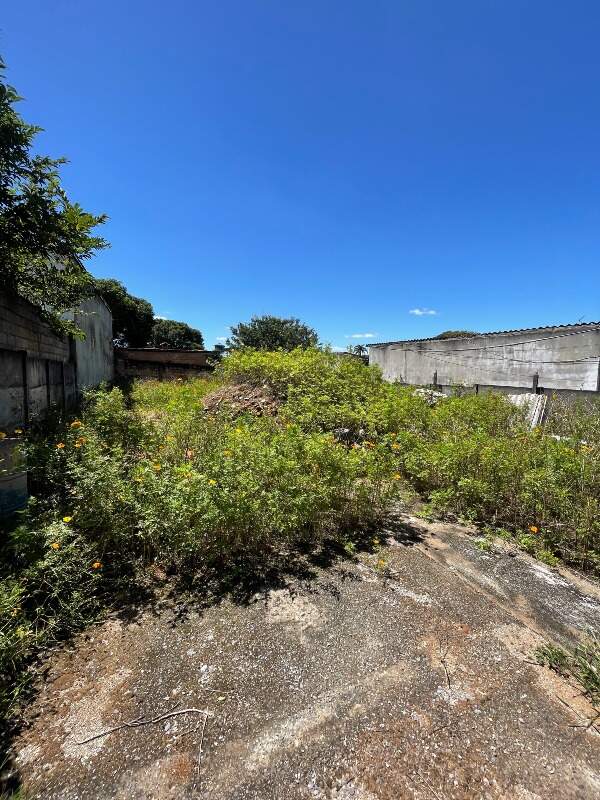 Lote à venda no Floresta: 