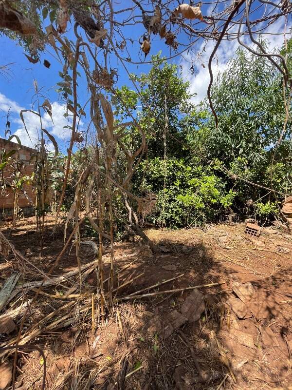Lote à venda no Campo de Santana : 