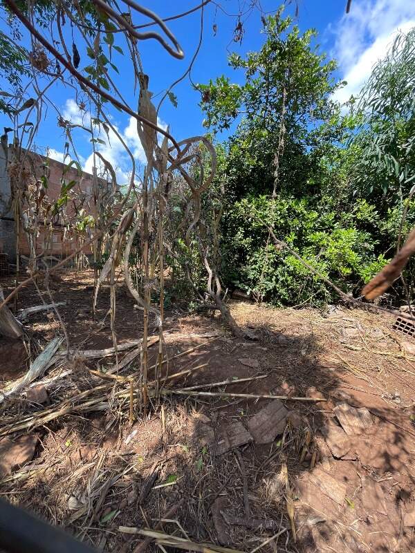Lote à venda no Campo de Santana : 