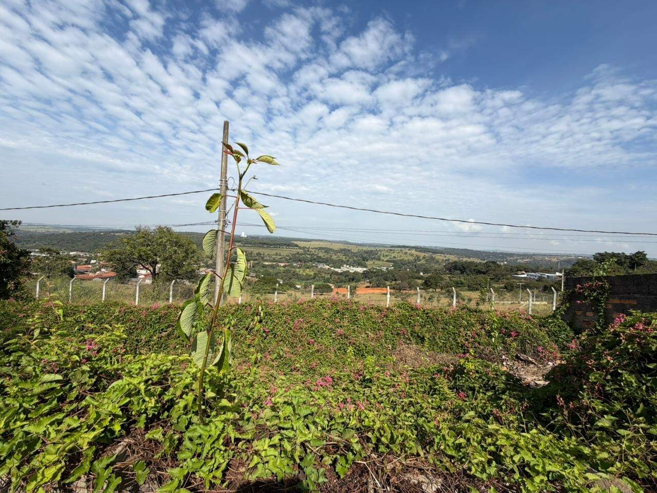 Lote à venda no Ipanema: 