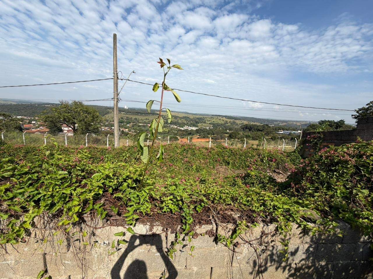 Lote à venda no Ipanema: 
