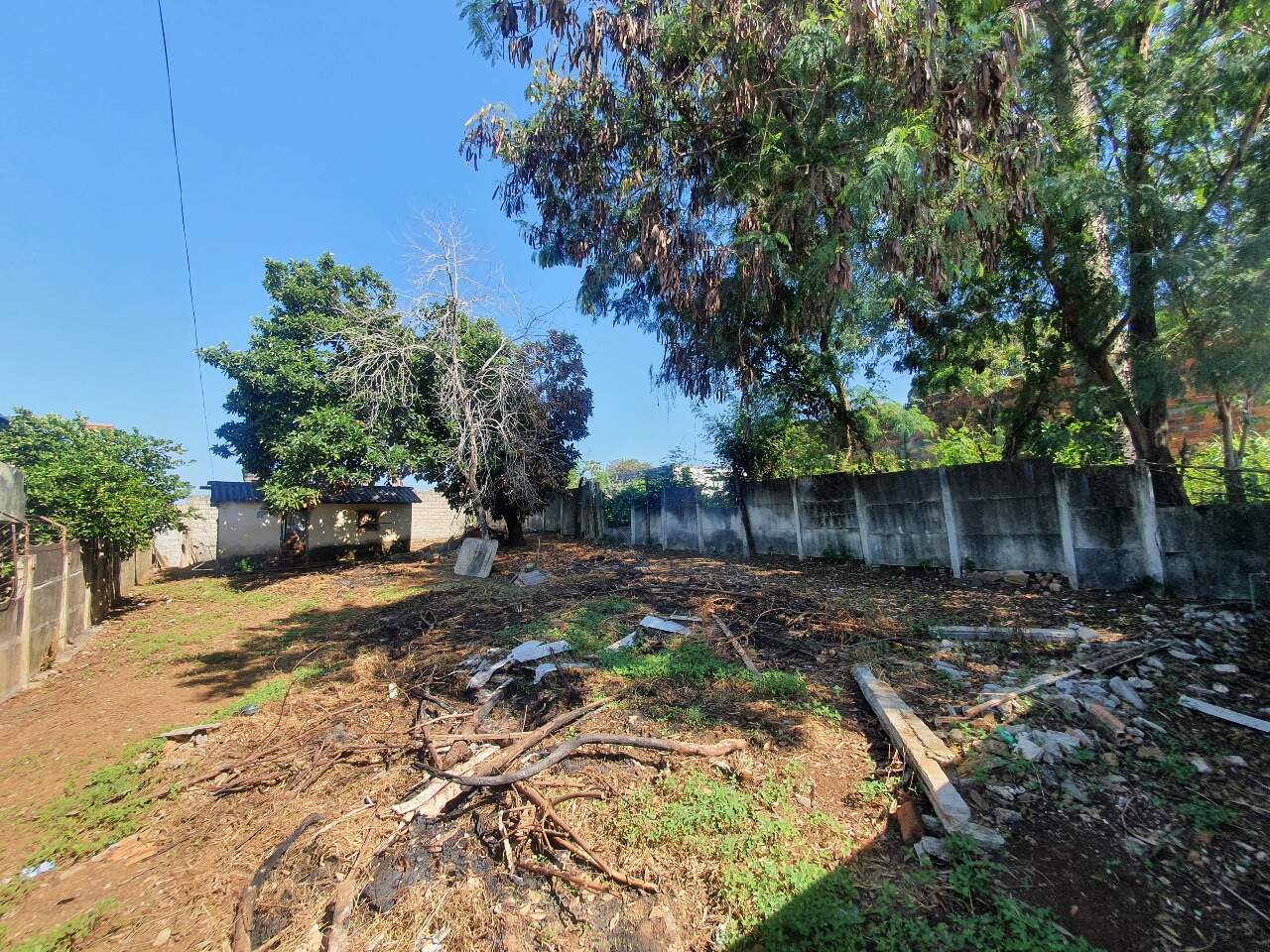 Lote à venda no Florestal: 