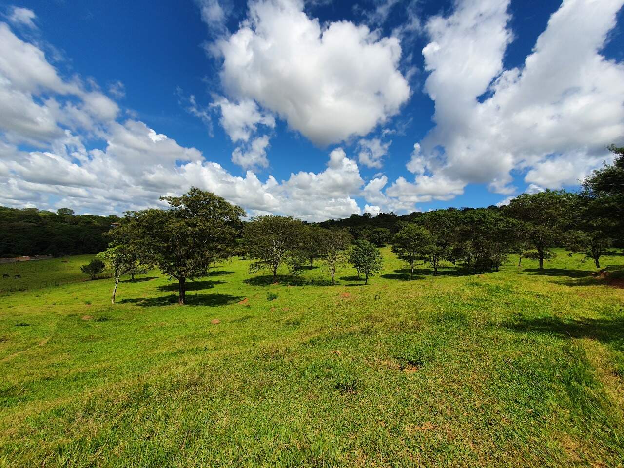 Terreno à venda no Araças: 