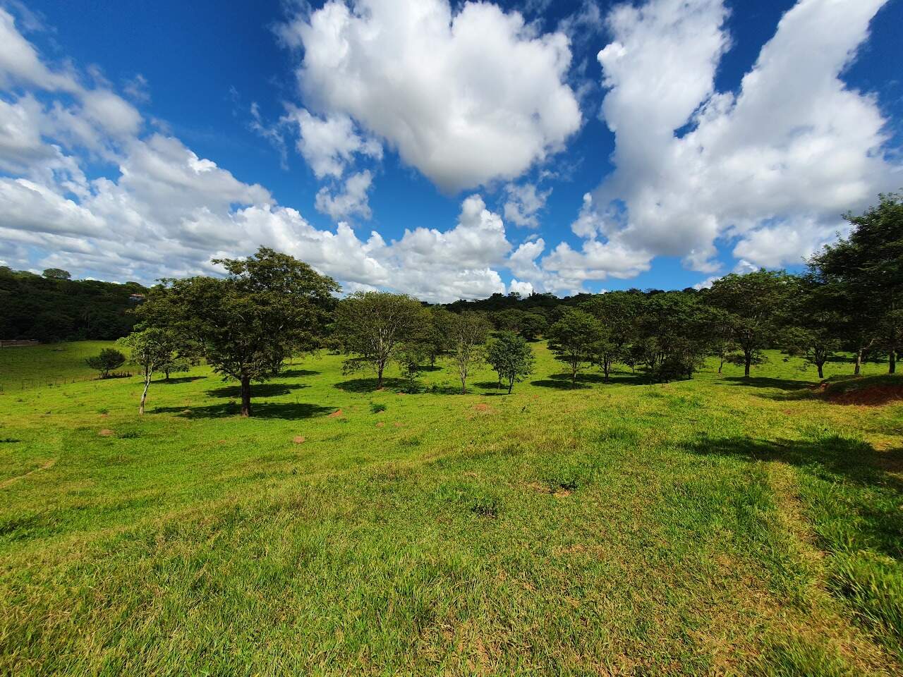 Terreno à venda no Araças: 