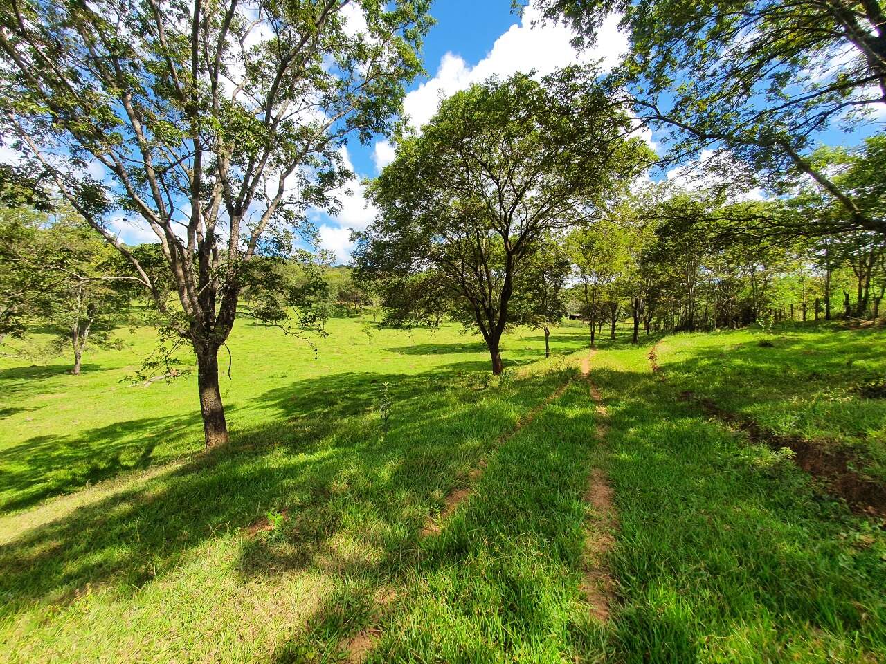 Terreno à venda no Araças: 
