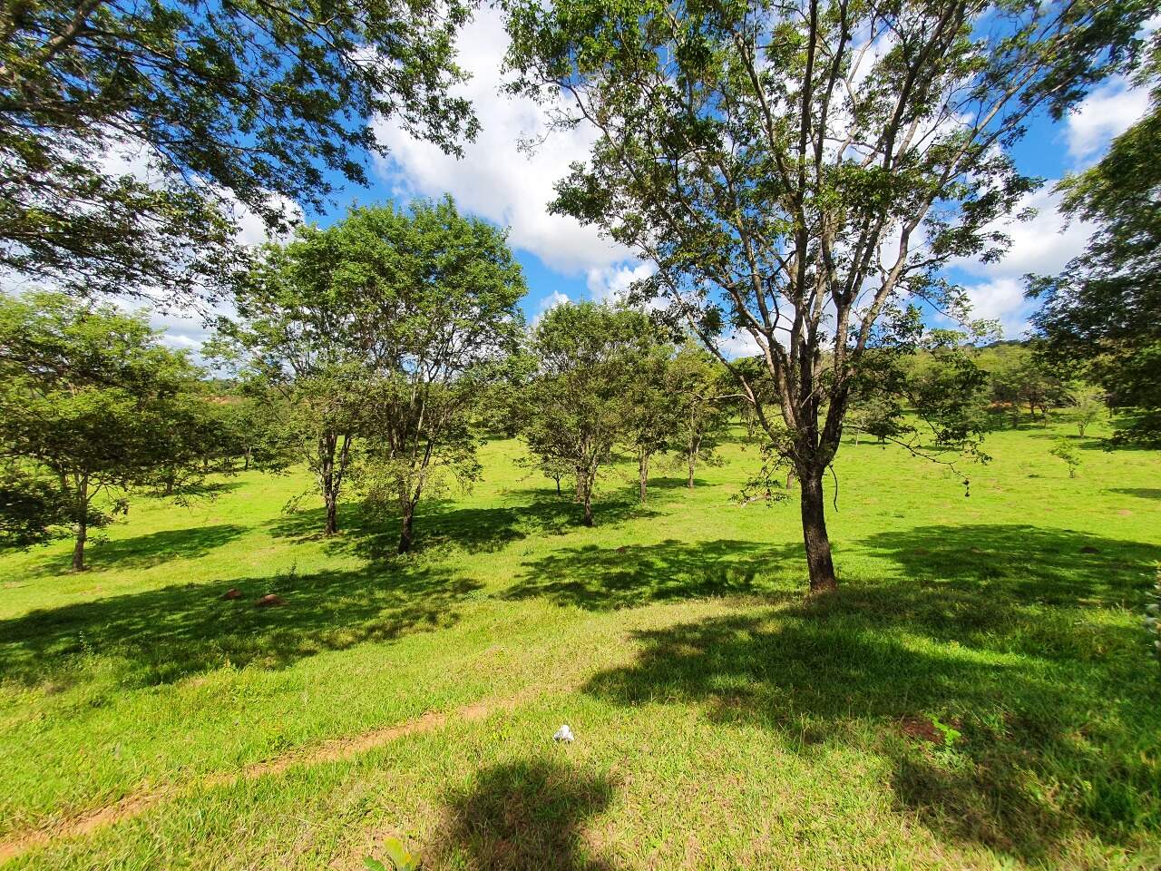 Terreno à venda no Araças: 