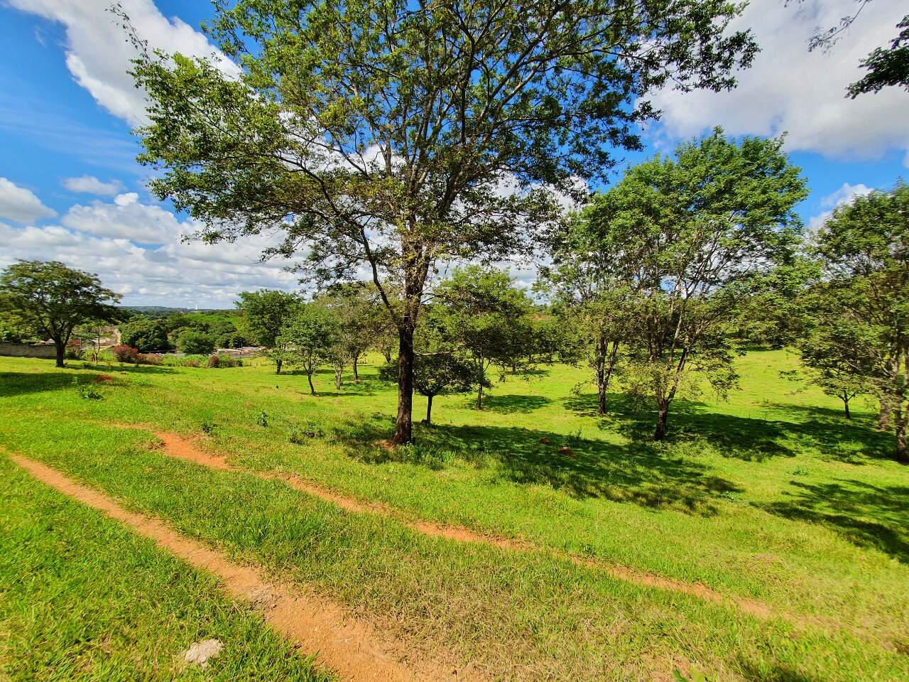 Terreno à venda no Araças: 