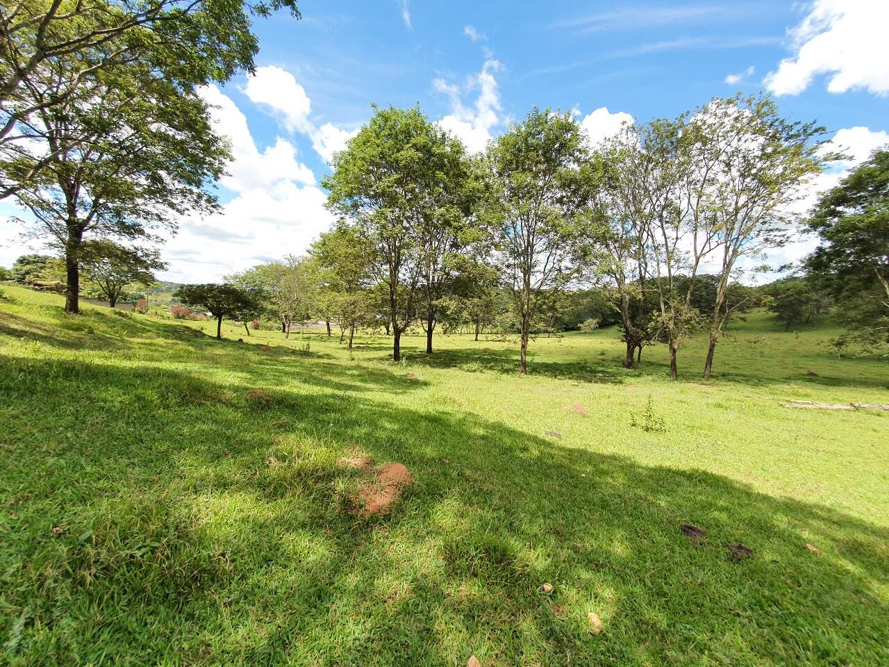 Terreno à venda no Araças: 