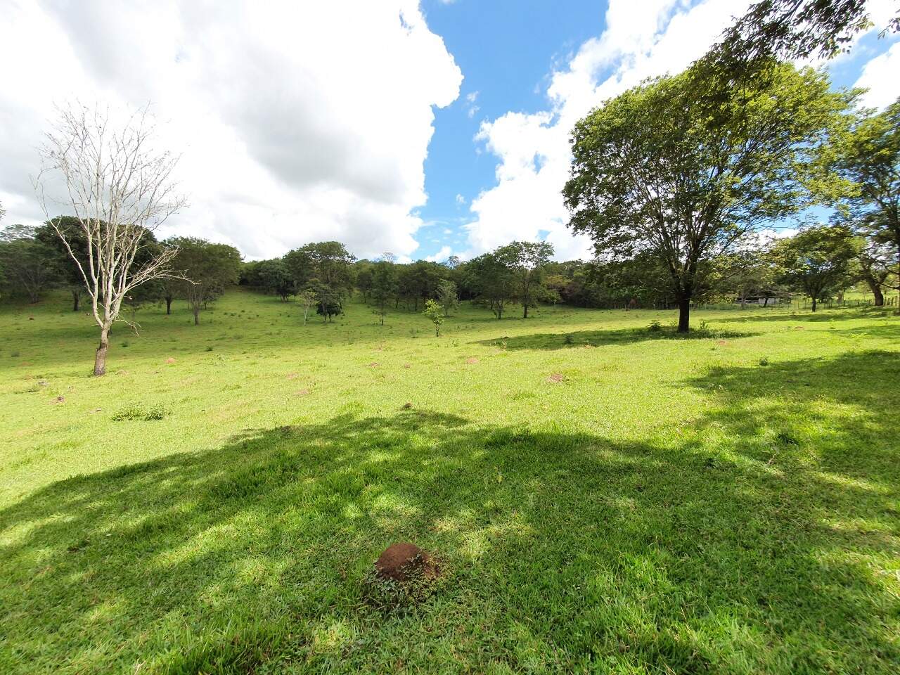 Terreno à venda no Araças: 