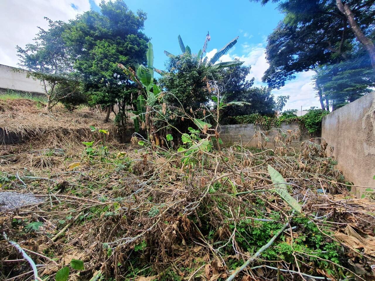 Lote à venda no Progresso: 