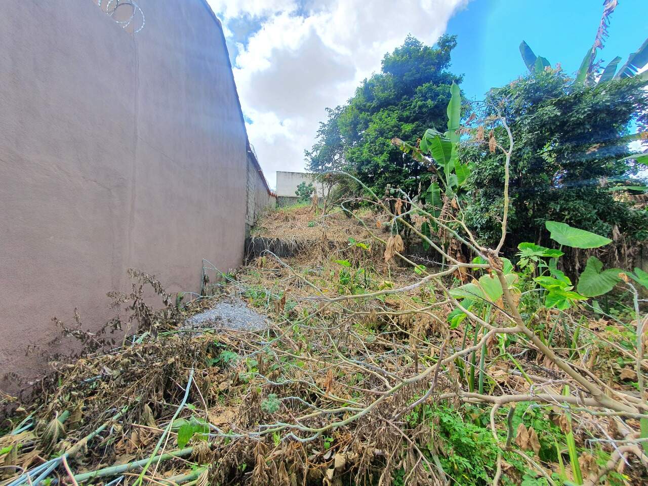 Lote à venda no Progresso: 