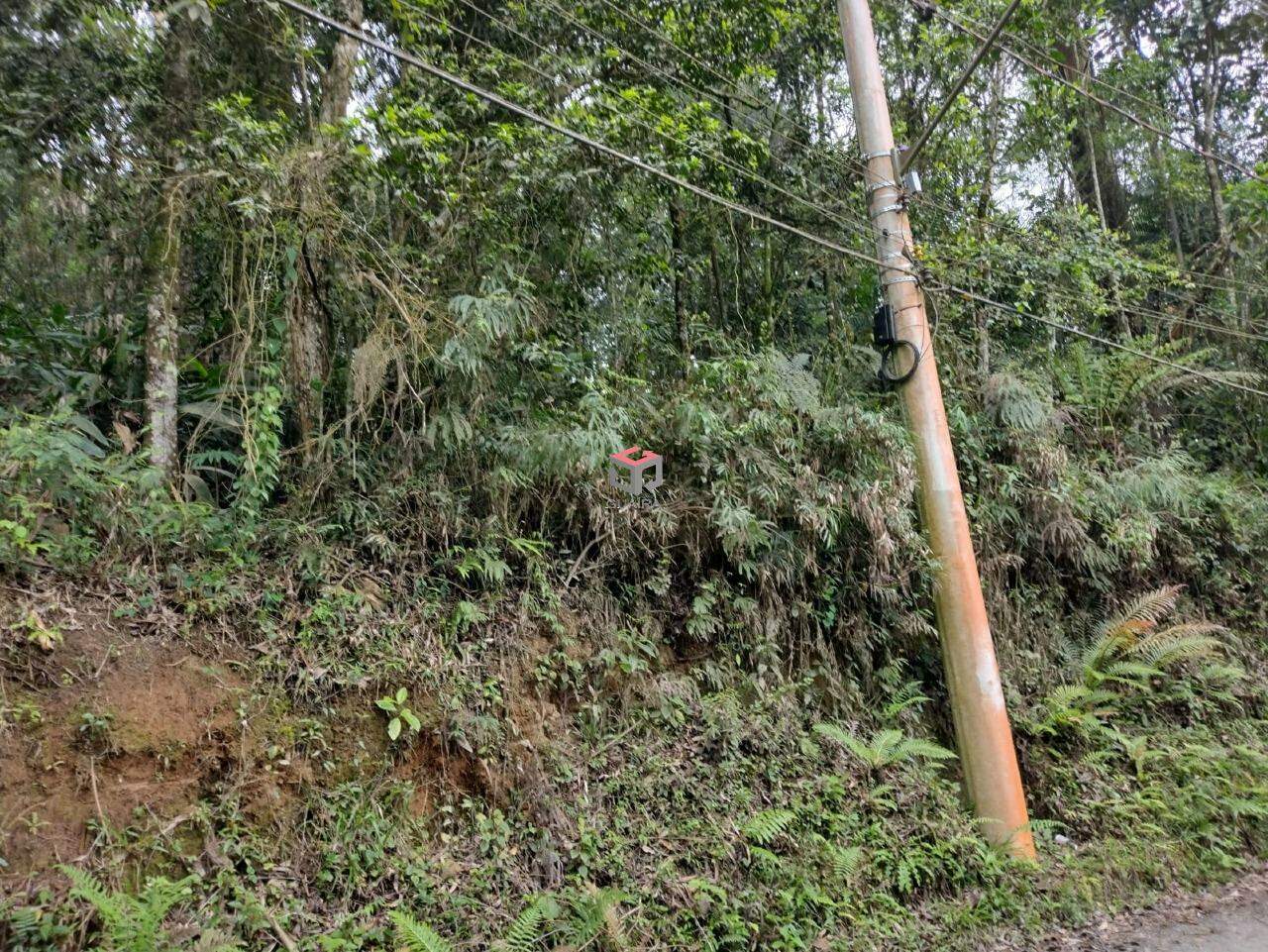 Terreno à venda, 2697m² - Foto 6