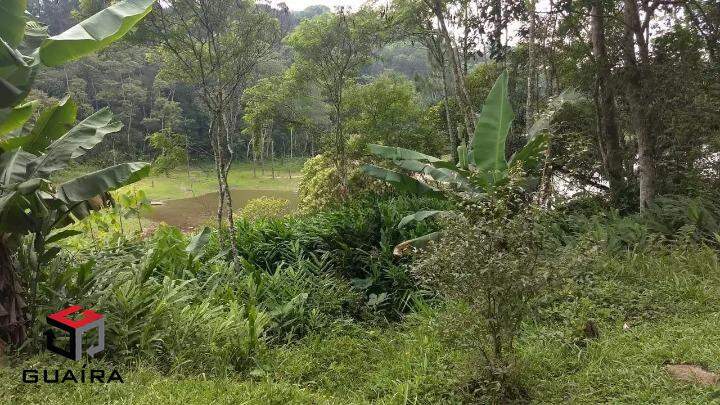 Terreno à venda, 1931m² - Foto 4