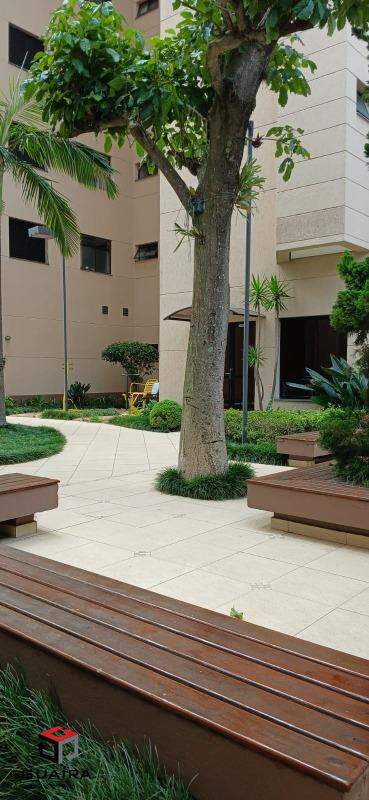 Apartamento para alugar com 3 quartos, 80m² - Foto 46