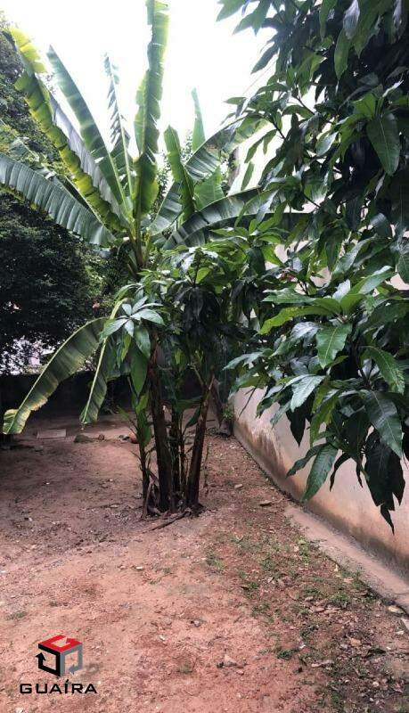 Terreno à venda com 2 quartos, 150m² - Foto 14