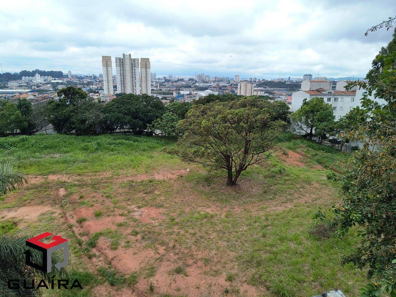 Terreno para alugar, 20000m² - Foto 3