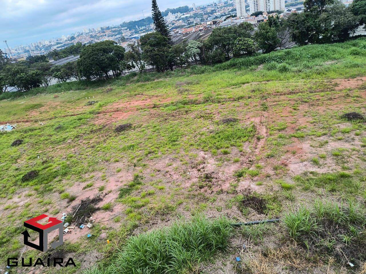 Terreno para alugar, 20000m² - Foto 1
