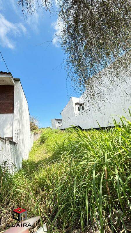 Terreno à venda, 250m² - Foto 3