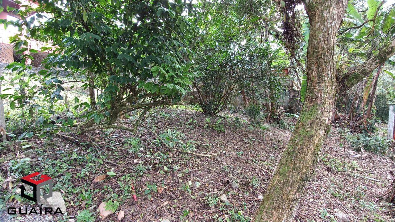 Casa para alugar com 4 quartos, 295m² - Foto 46
