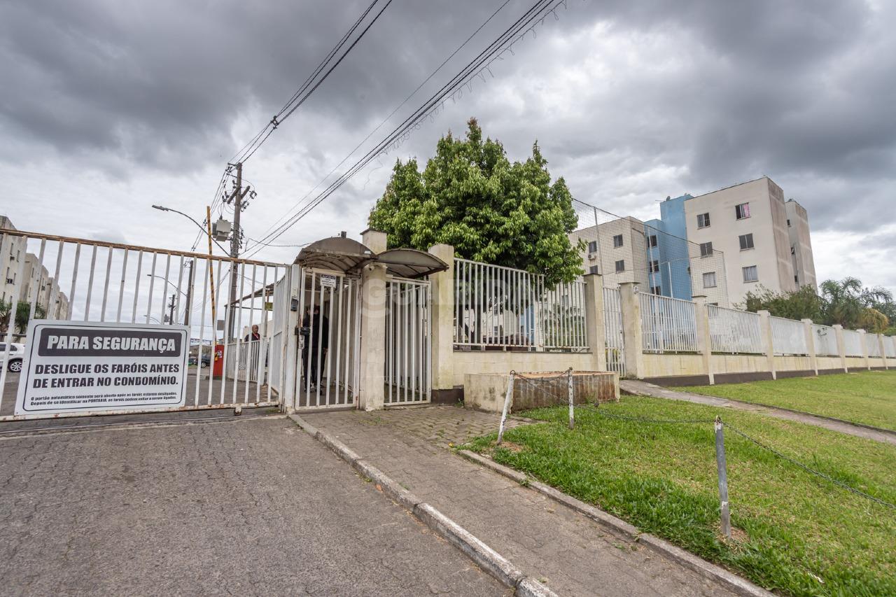 Apartamento para alugar em Rua Capitão Pedroso, 640 - foto 24