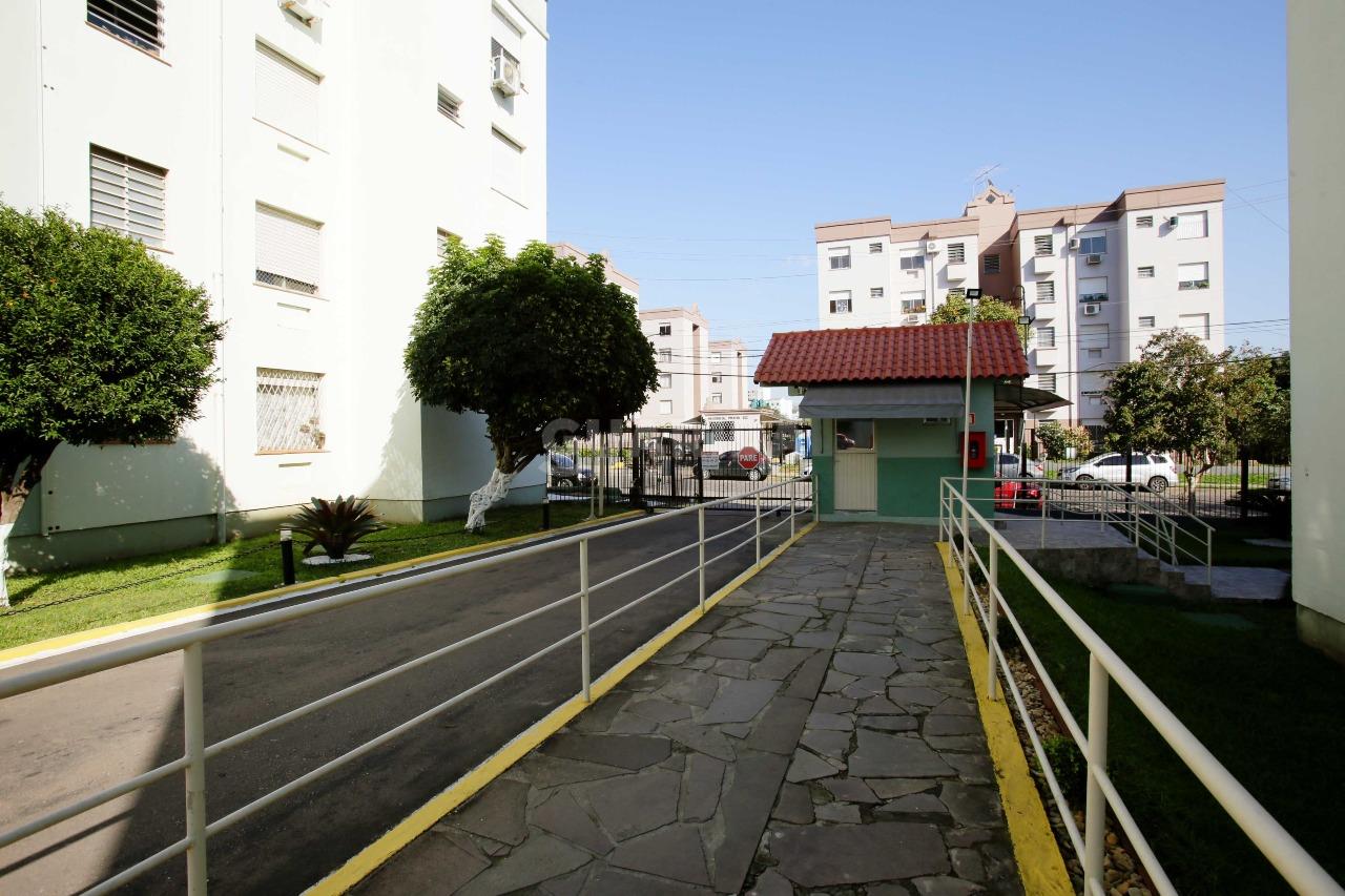 Apartamento para alugar em Rua Amadeu F. de Oliveira Freitas, 255 - foto 14