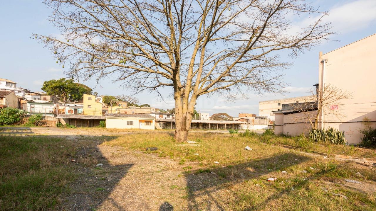 terreno lote para alugar em Avenida Doutor Carlos Barbosa, 820 - foto 13