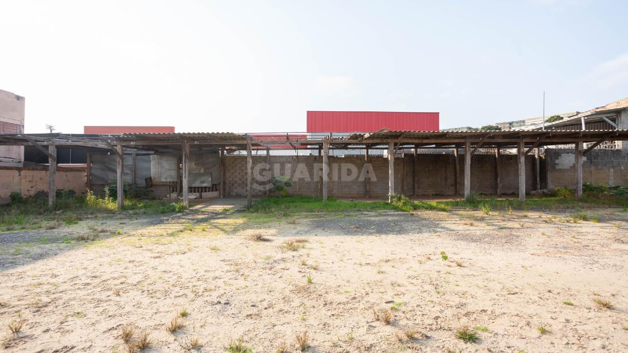 terreno lote para alugar em Avenida Doutor Carlos Barbosa, 820 - foto 9