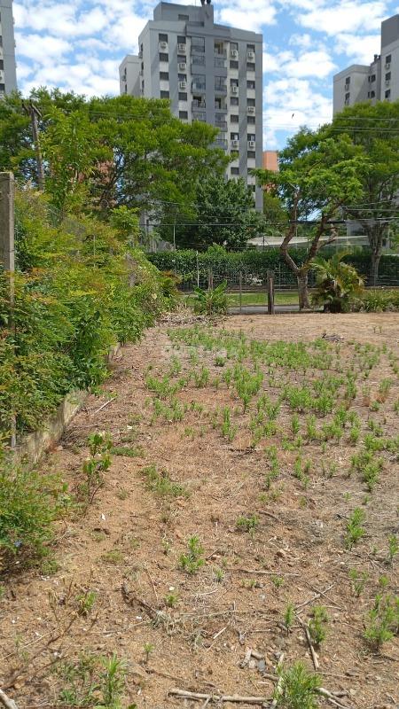 terreno lote para alugar em Beco Souza Costa, 380 - foto 6