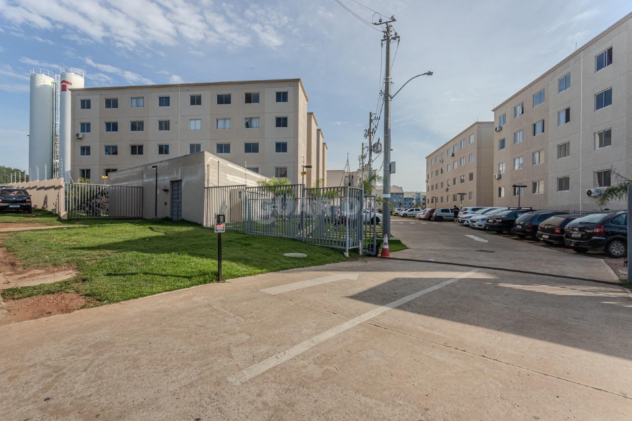 Apartamento para alugar em Estrada Cristiano Kraemer, 2021 - foto 12
